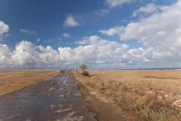 Country road to the sea after rain