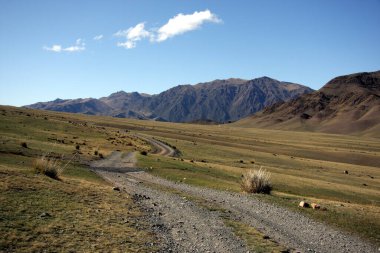 Dağların arasındaki toprak yol. Kazakistan