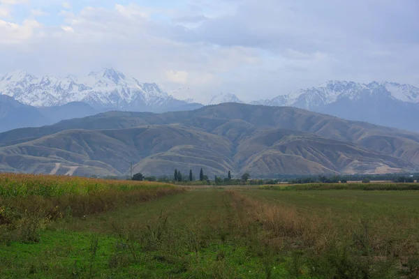 Sommar Bergslandskap Bergstoppar Och Moln Zaili Alatau Kazakstan — Stockfoto