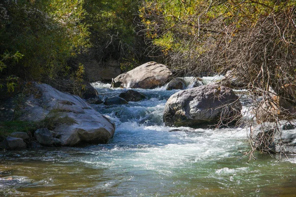 Κοντινό Πλάνο Ενός Θυελλώδους Ρυακιού Νερού Ενός Ορεινού Ποταμού — Φωτογραφία Αρχείου