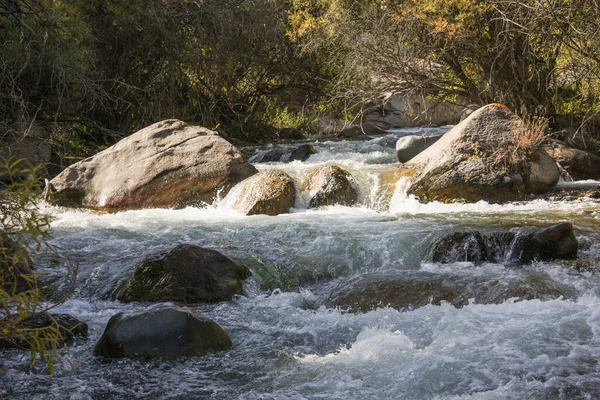 Closeup Stormy Stream Water Mountain River — Stock Photo, Image