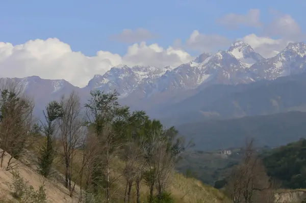 Paysage Montagne Été Kazakhstan — Photo