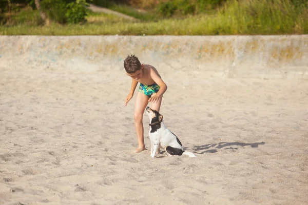 Boy playing with a dog on the sea beach