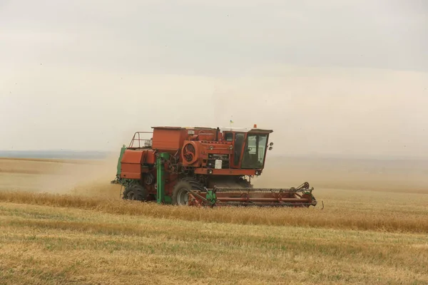 Erntemaschine Auf Dem Feld Erntet Getreide Ukraine — Stockfoto