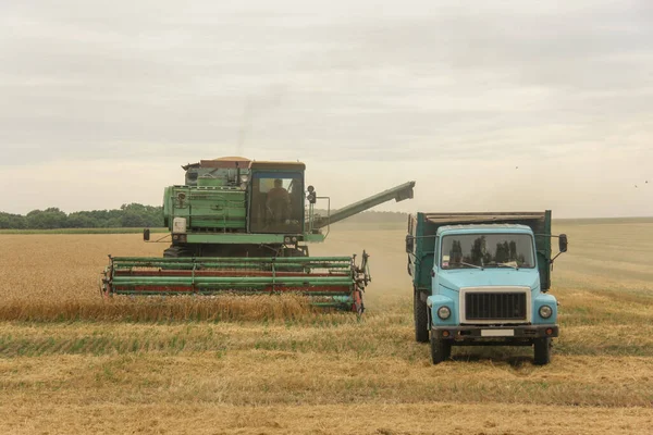 Sobrecarregar Grão Combinação Carro Campo Ucrânia — Fotografia de Stock