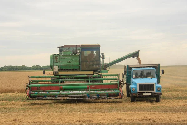 Sobrecarregar Grão Combinação Carro Campo Ucrânia — Fotografia de Stock