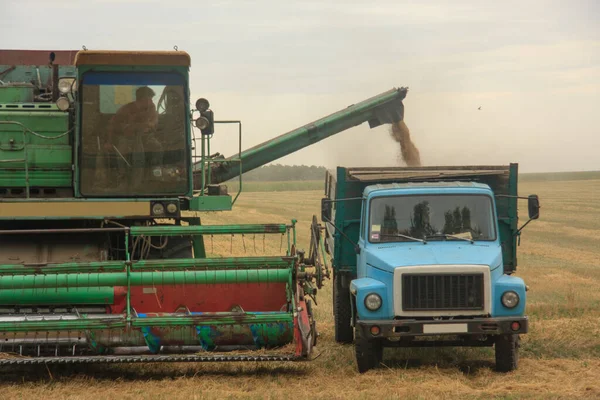 Sobrecarregar Grão Combinação Carro Campo Ucrânia — Fotografia de Stock