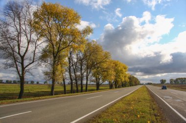 Sonbaharda köy yolu