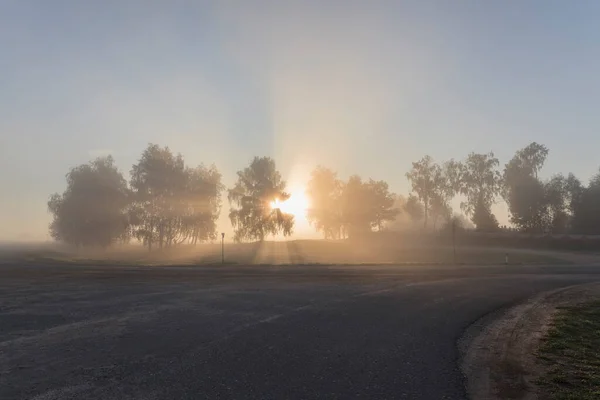 Nebbia Alba Autunnale Sulla Strada Campagna — Foto Stock