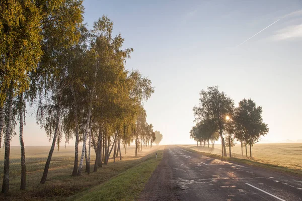 Landstraße Herbst — Stockfoto