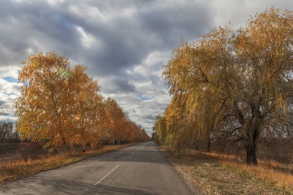 Venkovská Cesta Podzim — Stock fotografie