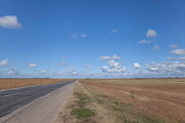 Country road against the blue sky in summer