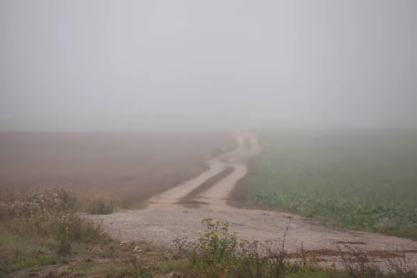 Strada Sterrata Nella Fitta Nebbia — Foto Stock