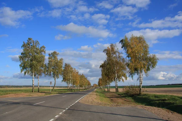 Estrada País Outono — Fotografia de Stock