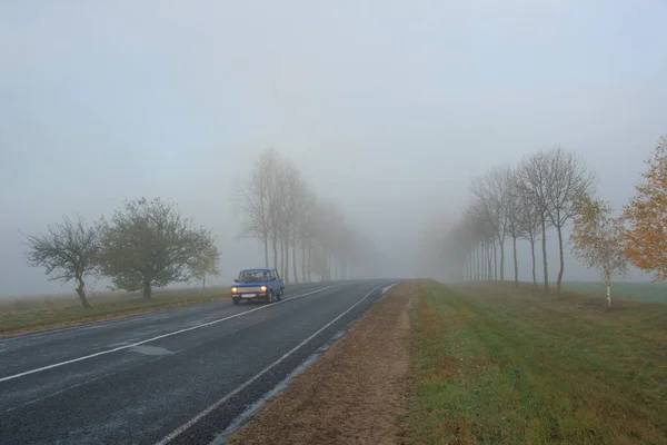 Nebbia Alba Estiva Sulla Strada — Foto Stock