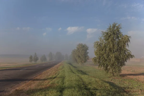 Nebbia Alba Estiva Sulla Strada — Foto Stock
