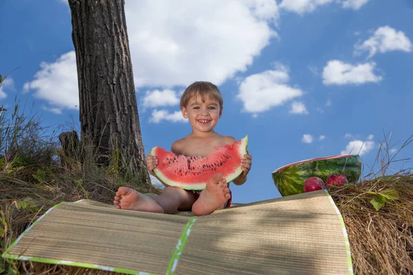 Felice Ragazzino Mangiare Anguria Picnic — Foto Stock