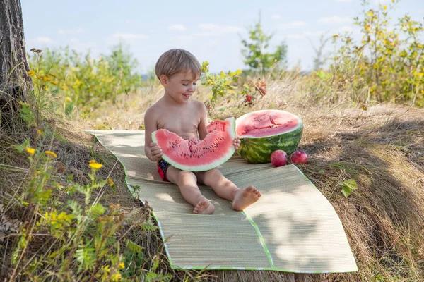 Felice Ragazzino Mangiare Anguria Picnic — Foto Stock