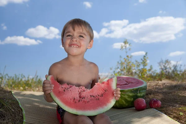 Felice Ragazzino Mangiare Anguria Picnic — Foto Stock