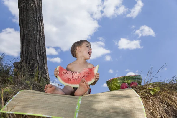 Glücklicher Kleiner Junge Isst Eine Wassermelone Bei Einem Picknick — Stockfoto