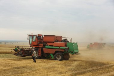 Tarladaki hasat ekinleri hasat ediyor. Ukrayna