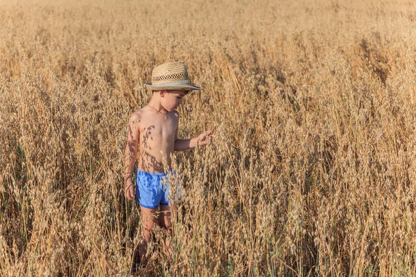 Petit Garçon Dans Chapeau Paille Est Debout Sur Champ Avoine — Photo