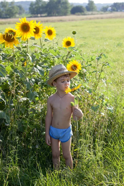 Ritratto Bambino Cappello Paglia Con Girasole Sul Campo All Aperto — Foto Stock