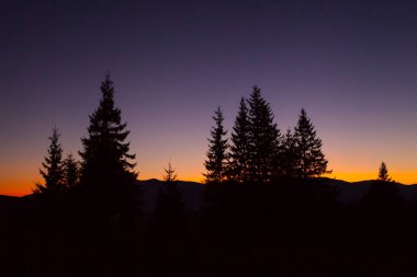 Akşam manzarası. Parlak gökyüzü ve dağların arkasındaki köknar ağaçlarının siluetleri.