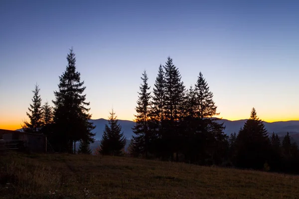 Paisaje Nocturno Siluetas Abetos Fondo Del Cielo Brillante Las Montañas — Foto de Stock