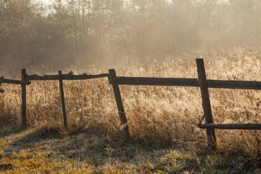Sonbahar örümcek ağlarına dolanmış dikenli teller sabah kırağı örtülü çimenlerin arka planına.