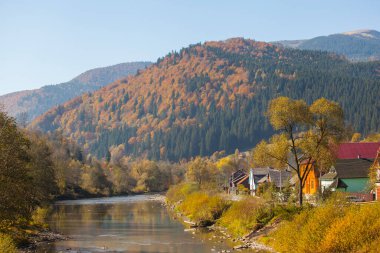 Sonbahar manzarası bir dağ nehri ve parlak ağaçlardan oluşan taç güneş ışığı altında dağlarda.
