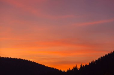 Karanlık ormanın üzerindeki parlak gökyüzü güneş doğmadan önce