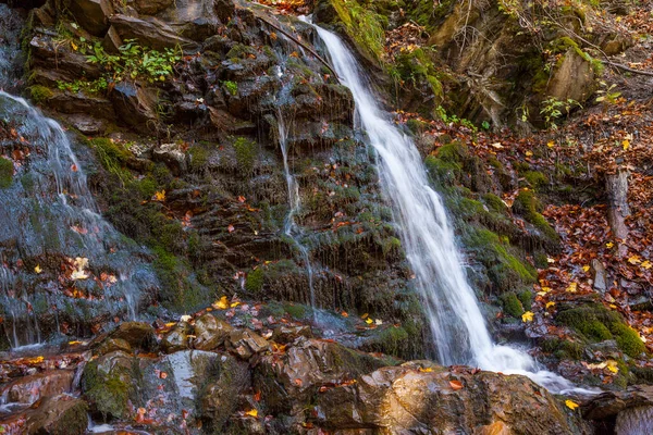 Fluxo Floresta Faia Outono Dourado Nos Cárpatos — Fotografia de Stock