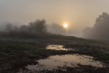 Güneşin doğuşu sabah sisi