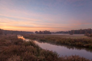sisli bir sonbahar çayırında gün doğumu