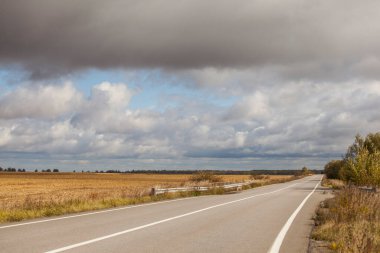 Bir kır yolu ile sonbahar manzarası
