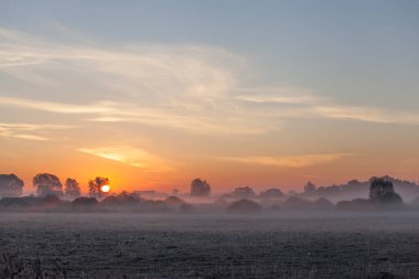 Güneşin doğuşu sisli bir çayırda