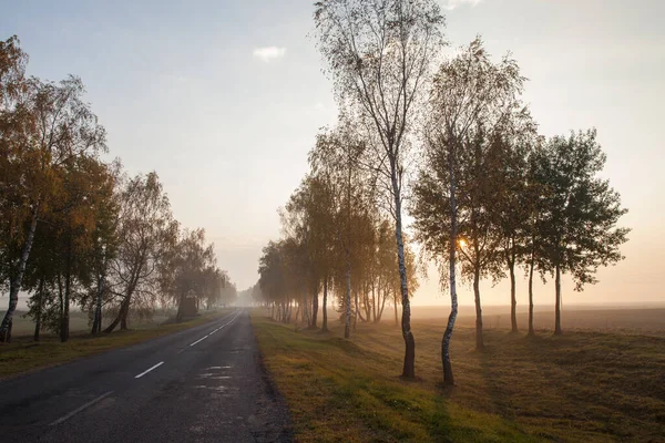 Nebeliger Herbstsonnenaufgang Über Der Straße — Stockfoto