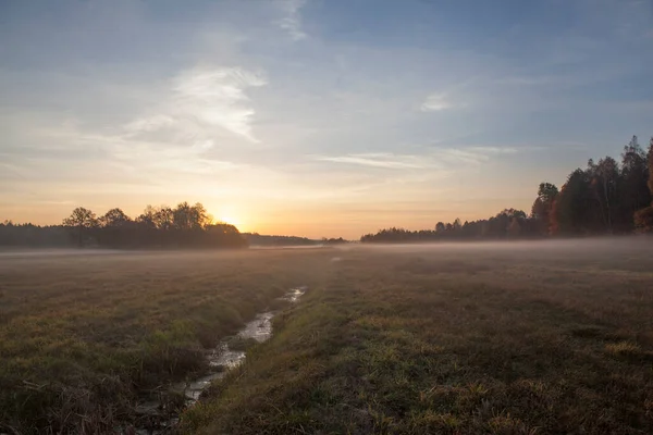 Sonnenaufgang Über Einer Nebligen Herbstwiese — Stockfoto