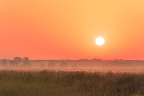 Восход Солнца Лугу Туманом — стоковое фото