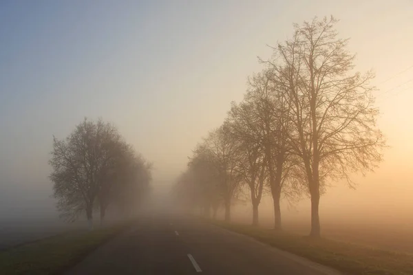 Nebeliger Herbstsonnenaufgang Über Der Straße — Stockfoto