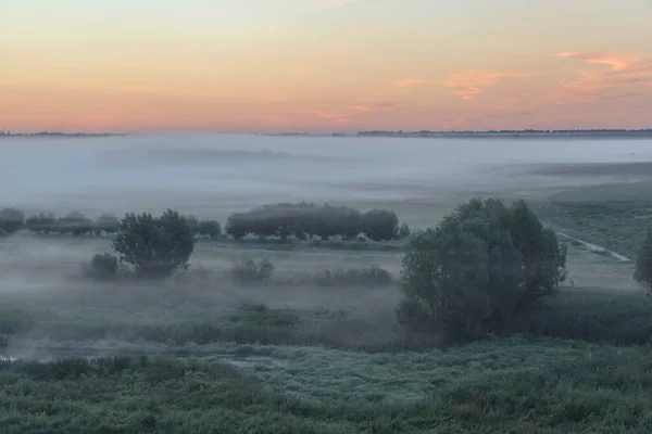 Nebelschwaden Über Der Herbstwiese — Stockfoto