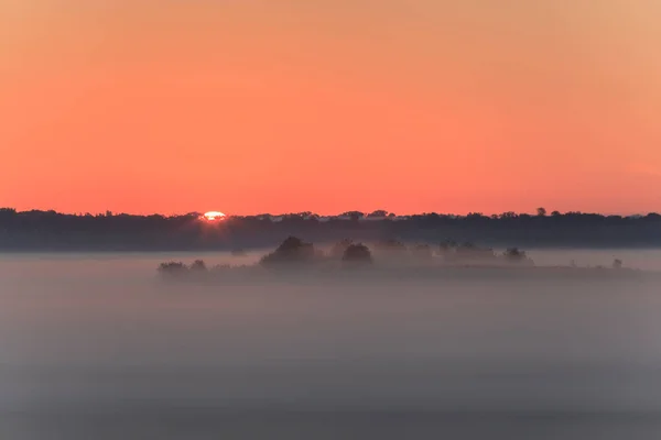 Туманный Рассвет Над Осенним Лугом — стоковое фото