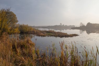Sonbahar parkında göl
