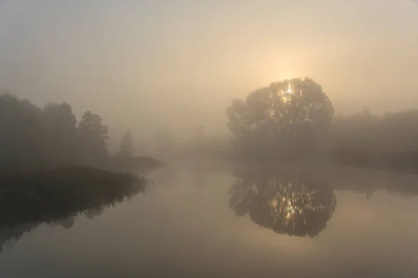 Herbstlandschaft Sonnenaufgang Über Dem See Bedeckt Mit Dichtem Nebel — Stockfoto