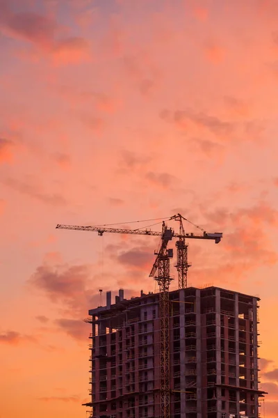 Construction site with tower construction cranes against the evening sky