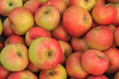 Olgun kırmızı ve sarı elmalar, yakın plan.