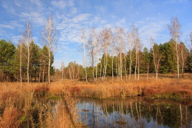 yapraksız sonbahar manzarası