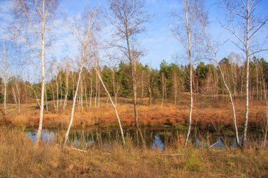 yapraksız sonbahar manzarası