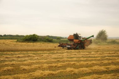 Tarladaki hasat ekinleri hasat ediyor. Ukrayna